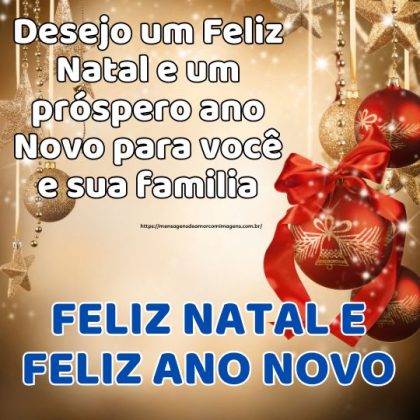 Desejo um Feliz Natal e um próspero ano Novo para você e sua familia