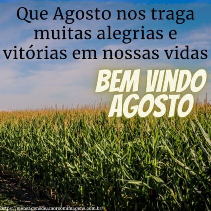 seja bem vindo agosto 2