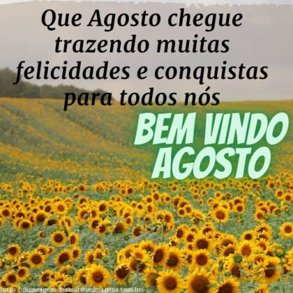 seja bem vindo agosto