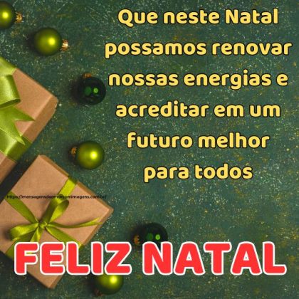 Que neste Natal possamos renovar nossas energias e acreditar em um futuro melhor para todos