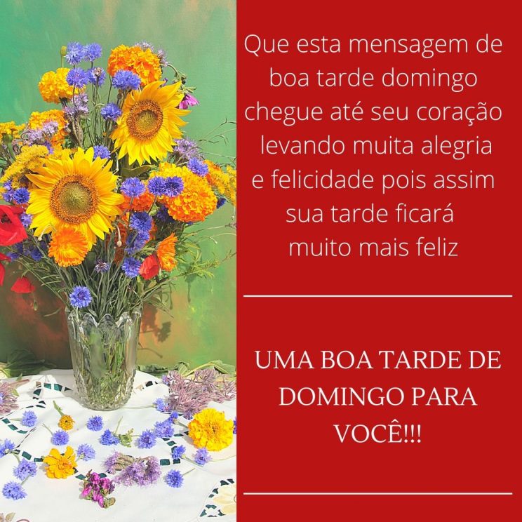 mensagem de boa tarde de domingo | boa tarde domingo