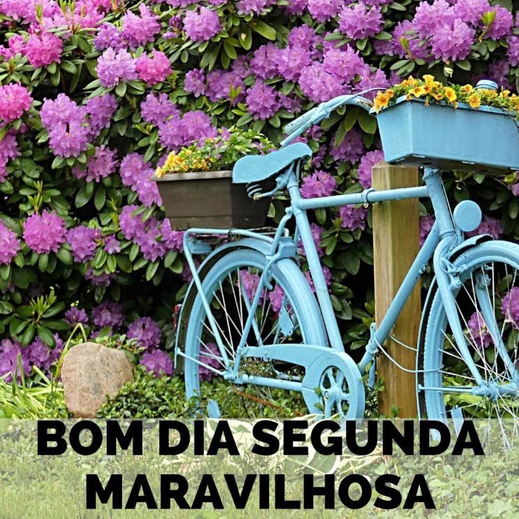 bom dia segunda feira maravilhosa