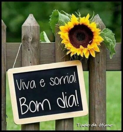 frases de girassol 2