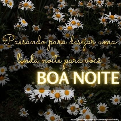 Boa noite campos de margaridas