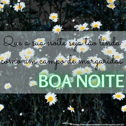 mensagem de boa noite campos de margaridas