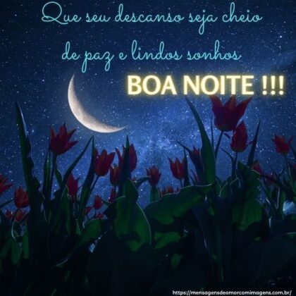 mensagem de boa noite com flores para whatsapp