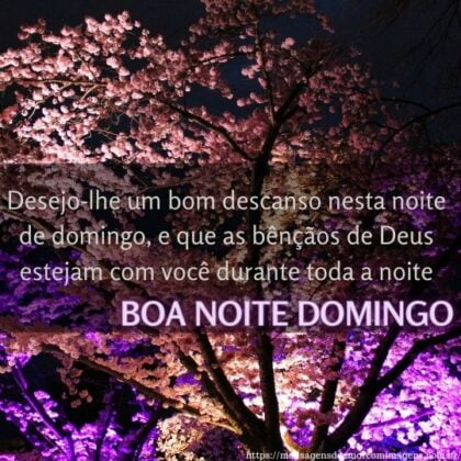 boa noite domingo terminando 1