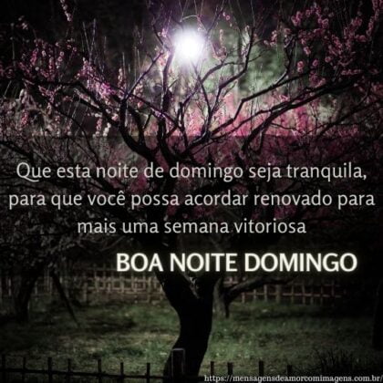 boa noite domingo terminando