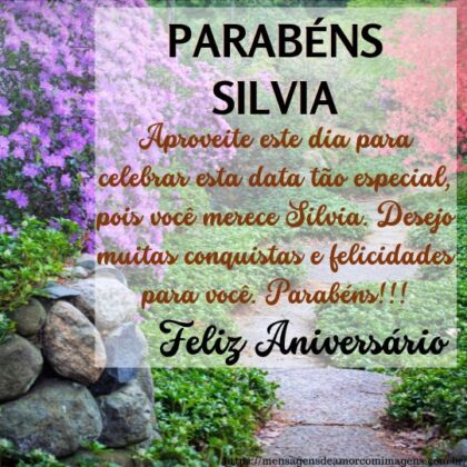 Feliz aniversário e parabéns Silvia 2