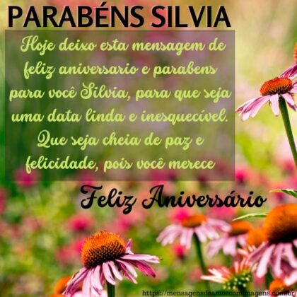 Feliz aniversário e parabéns Silvia 