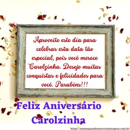 Feliz aniversário e parabéns Carolzinha 2
