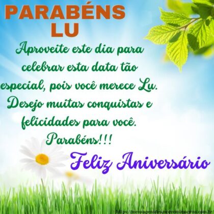 Feliz aniversário e parabéns Lu 2