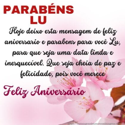 Feliz aniversário e parabéns Lu