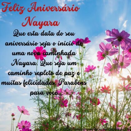 Feliz aniversário e parabéns Nayara 1