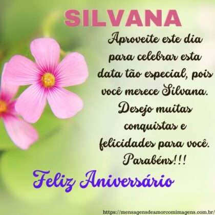 Feliz aniversário e parabéns Silvana 2