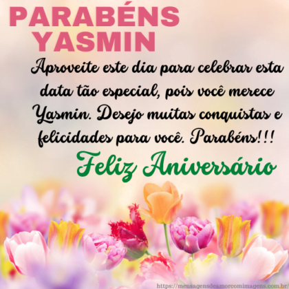 Feliz aniversário e parabéns Yasmin 2