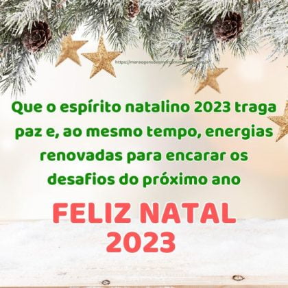 Com votos sinceros, desejo a você um Feliz Natal 2023, repleto de felicidade