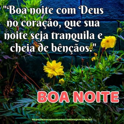 Boa noite com Deus no coração, que sua noite seja tranquila e cheia de bênçãos.