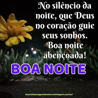 No silêncio da noite, que Deus no coração guie seus sonhos. Boa noite abençoada!