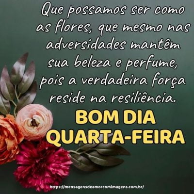 Bom dia quarta-feira! Que possamos ser como as flores, que mesmo nas adversidades mantêm sua beleza e perfume, pois a verdadeira força reside na resiliência.