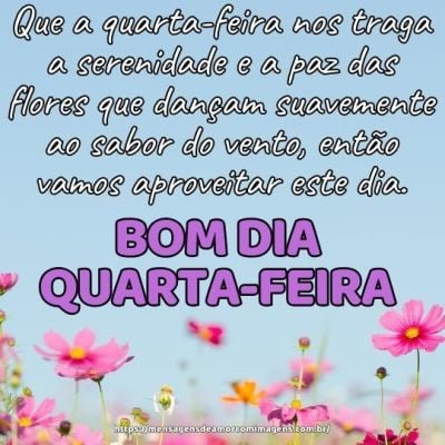 Bom dia quarta-feira! Que a quarta-feira nos traga a serenidade e a paz das flores que dançam suavemente ao sabor do vento, então vamos aproveitar este dia.