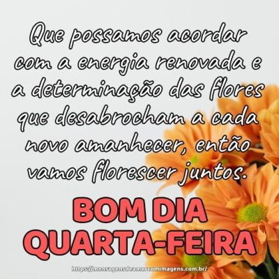 Bom dia quarta-feira! Que possamos acordar com a energia renovada e a determinação das flores que desabrocham a cada novo amanhecer, então vamos florescer juntos.