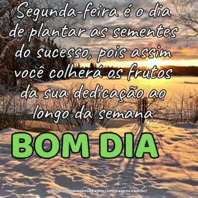 Segunda-feira é o dia de plantar as sementes do sucesso, pois assim você colherá os frutos da sua dedicação ao longo da semana
