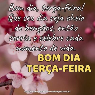 Bom dia, terça-feira! Que seu dia seja cheio de bençãos, então sorria e celebre cada momento de vida.