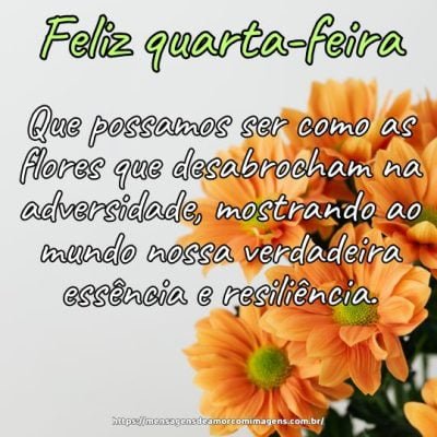Feliz quarta-feira! Que possamos ser como as flores que desabrocham na adversidade, mostrando ao mundo nossa verdadeira essência e resiliência.