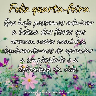 Feliz quarta-feira! Que hoje possamos admirar a beleza das flores que cruzam nosso caminho, lembrando-nos de apreciar a simplicidade e a delicadeza da vida.