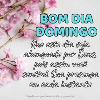 Bom dia de domingo! Aproveite cada momento deste domingo abençoado por Deus