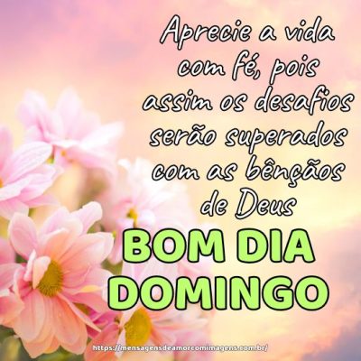 Bom dia de domingo! Aprecie a vida com fé, pois assim os desafios serão superados com as bênçãos de Deus