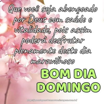 Bom dia de domingo! Que você seja abençoado por Deus com saúde e vitalidade