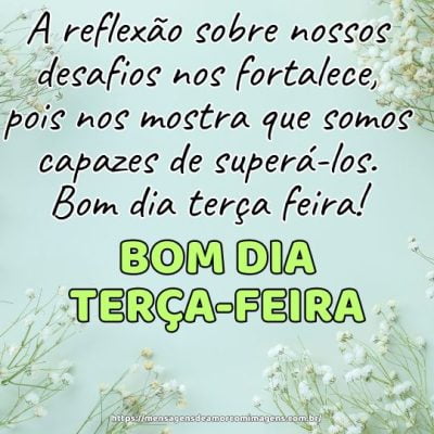 A reflexão sobre nossos desafios nos fortalece, pois nos mostra que somos capazes de superá-los. Bom dia terça feira!
