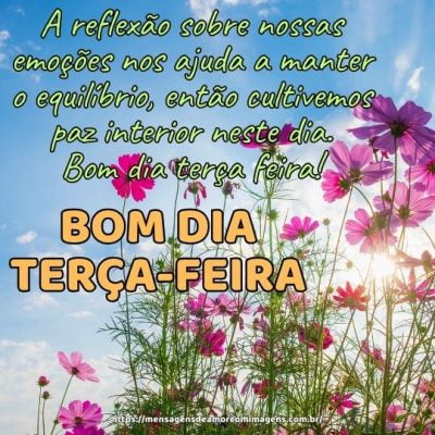 A reflexão sobre nossas emoções nos ajuda a manter o equilíbrio, então cultivemos paz interior neste dia. Bom dia terça feira!