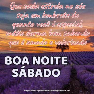 Boa noite de sábado! Que cada estrela no céu seja um lembrete do quanto você é especial, então durma bem sabendo que é amado e valorizado