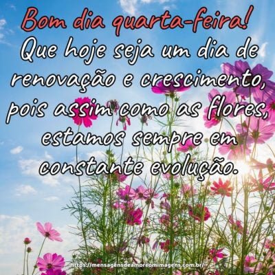 Bom dia quarta-feira! Que hoje seja um dia de renovação e crescimento, pois assim como as flores, estamos sempre em constante evolução.
