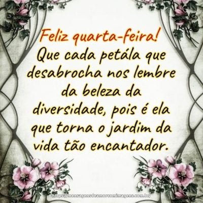 Feliz quarta-feira! Que cada petála que desabrocha nos lembre da beleza da diversidade, pois é ela que torna o jardim da vida tão encantador.