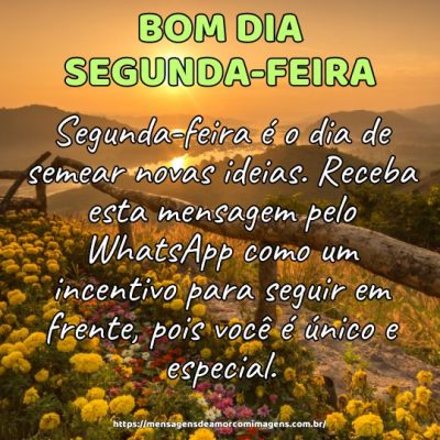 Bom dia! Segunda-feira é o dia de semear novas ideias. Receba esta mensagem pelo WhatsApp como um incentivo para seguir em frente, pois você é único e especial.