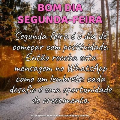 Bom dia! Segunda-feira é o dia de começar com positividade. Então receba esta mensagem no WhatsApp como um lembrete: cada desafio é uma oportunidade de crescimento.