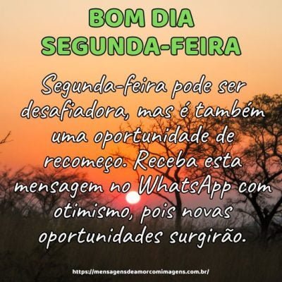 Bom dia! Segunda-feira pode ser desafiadora, mas é também uma oportunidade de recomeço. Receba esta mensagem no WhatsApp com otimismo, pois novas oportunidades surgirão.