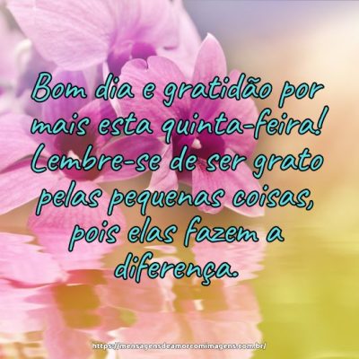 Bom dia e gratidão por mais esta quinta-feira