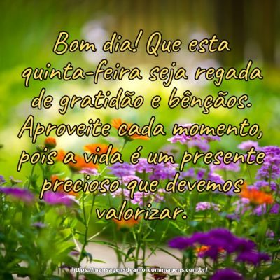 Bom dia! Que esta quinta-feira seja regada de gratidão e bênçãos