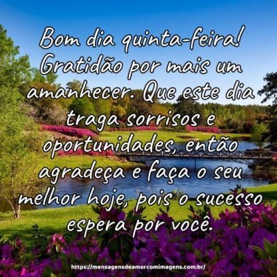 Bom dia quinta-feira! Gratidão por mais um amanhecer