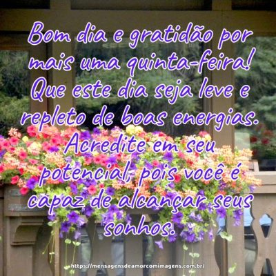 Bom dia e gratidão por mais uma quinta-feira