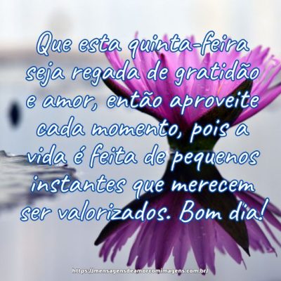 Que esta quinta-feira seja regada de gratidão e amor, então aproveite cada momento