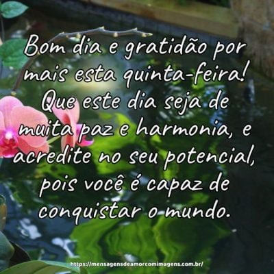 Bom dia e gratidão por mais esta quinta-feira! Que este dia seja de muita paz e harmonia