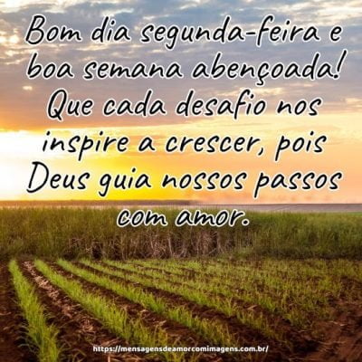 Bom dia segunda-feira e boa semana abençoada! Que cada desafio nos inspire a crescer, pois Deus guia nossos passos com amor.