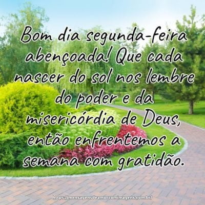Bom dia segunda-feira abençoada! Que cada nascer do sol nos lembre do poder e da misericórdia de Deus, então enfrentemos a semana com gratidão.