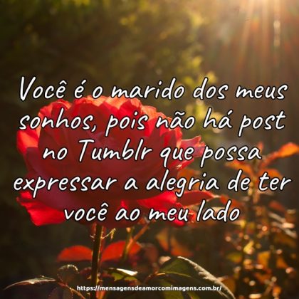 Você é o marido dos meus sonhos, pois não há post no Tumblr que possa expressar a alegria de ter você ao meu lado.